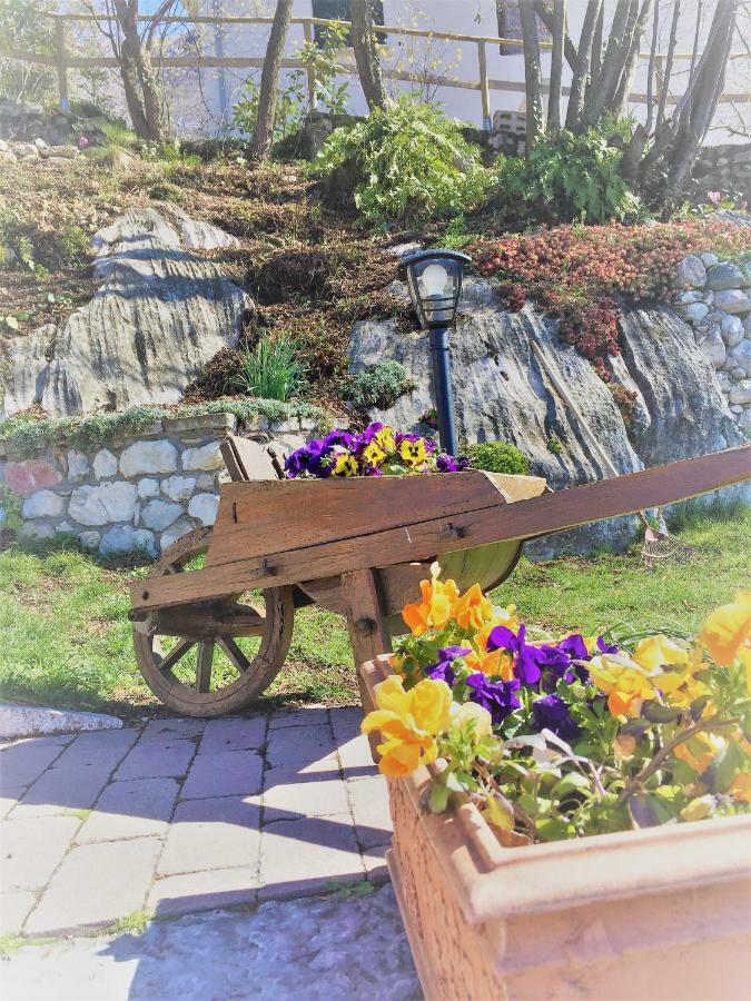 La Casa Nel Bosco Appartement Malcesine Buitenkant foto